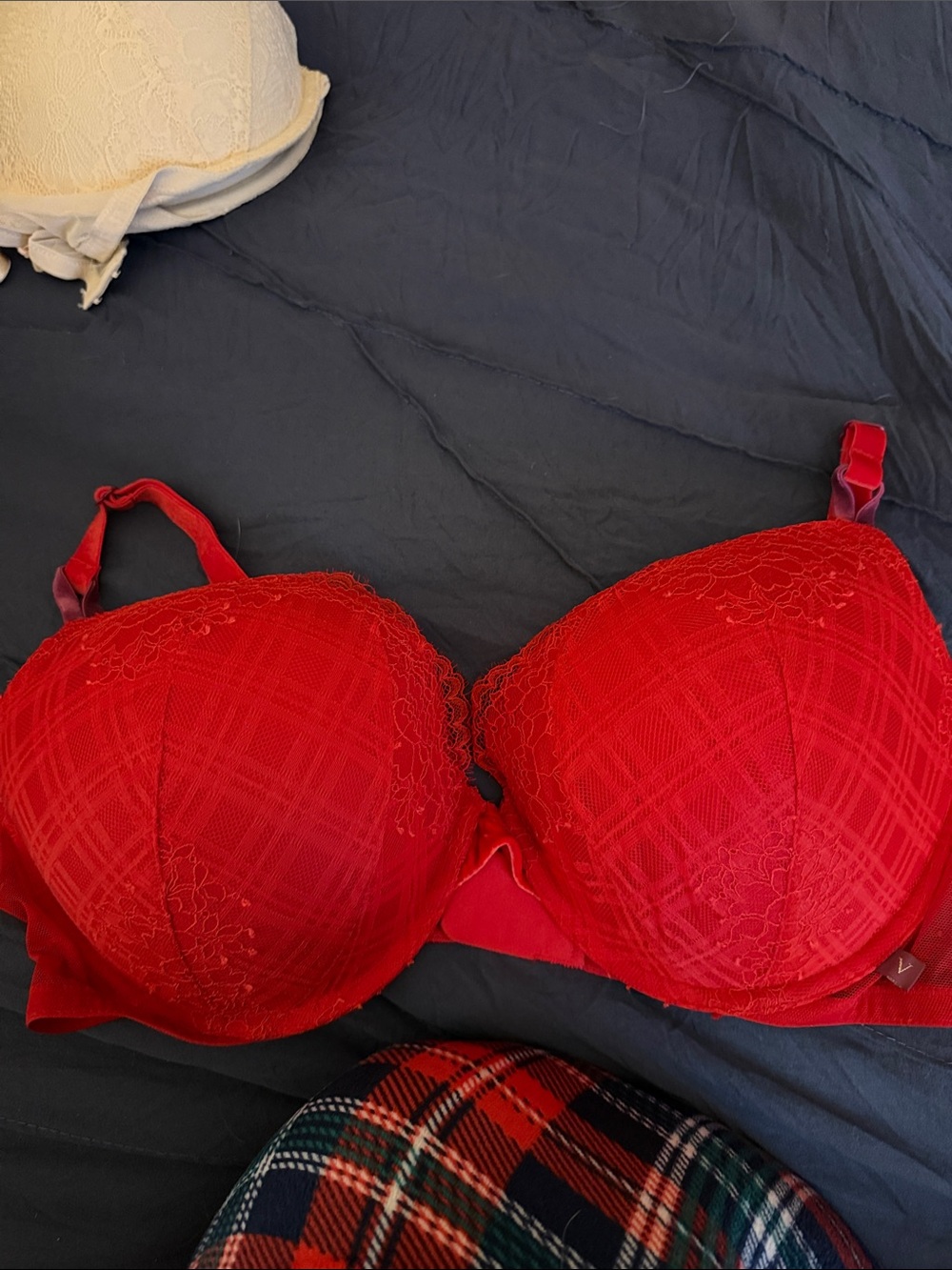 Victoria's Secret Red Lace Push-Up Bra with Floral Detail